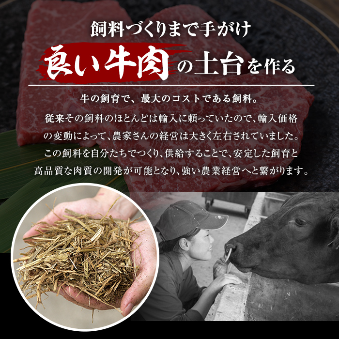 A5等級鹿児島県産黒毛和牛切り落とし肉(計1.75kg・250g×7P) 牛肉 赤身 切り落とし【カミチク】A230-v02