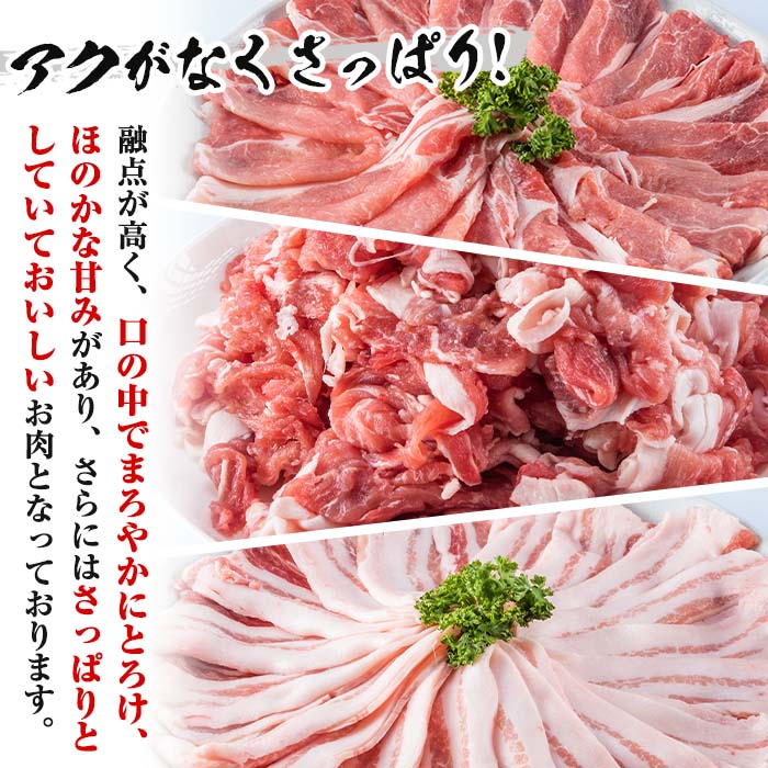 鹿児島県産黒豚セット 合計3kg 【Rana】A411-v02