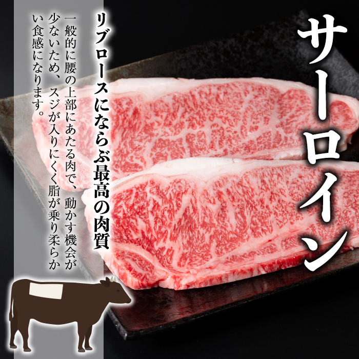 鹿児島和牛サーロインステーキ(計400g・2枚)【居食肉】A448-v02