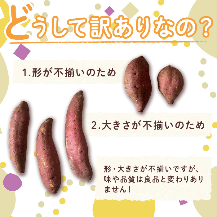 【数量限定企画実施中！】＜2025年11月上旬より順次発送予定！＞【訳あり】鹿児島県産サツマイモ「シルクスイート」(計5.5kg) 鹿児島県産 さつまいも さつま芋 【みやびファーム】 A460-v01