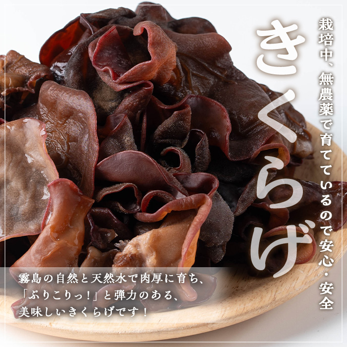 国産きくらげ(計120g・3袋)【九南サービス(タマチャンショップ)】A501