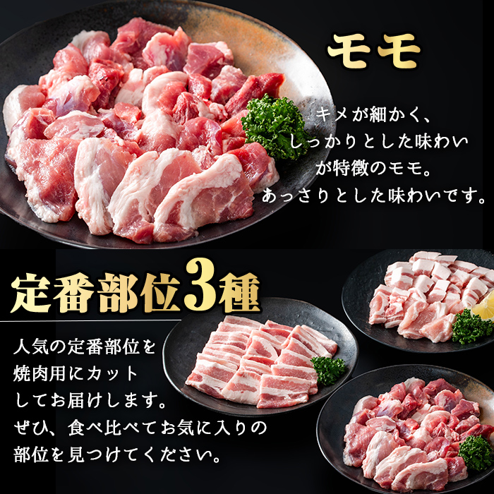 ＜内容量が選べる！＞かごしま味わい黒豚 さつま焼肉コース (合計900g) 鹿児島県産 豚肉 黒豚 【KNOT】 A552 【合計900g】