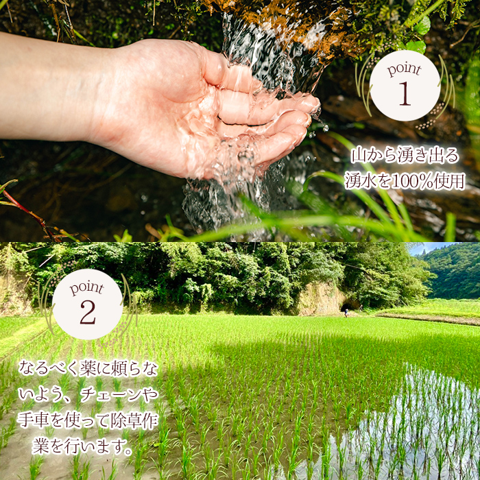 ＜先行予約受付中！＞柏木さんこだわりのうまSoo米(5kg) お米 精米済み 常温【曽於市観光協会】A587