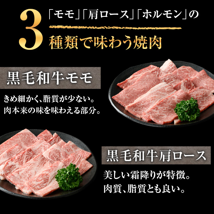 鹿児島県産黒毛和牛の焼き肉セット(和牛ロース肉、モモ肉、国産牛ホルモン 各200g 計600g)【ナンチク】A6-v01
