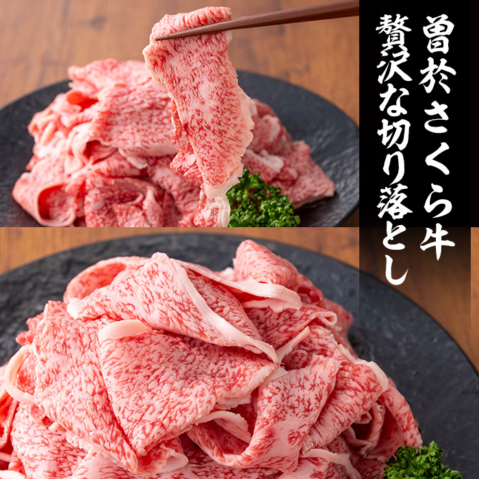 曽於さくら牛 贅沢な切り落とし(合計500g) 黒毛和牛 切り落とし 冷凍【福永産業】A660