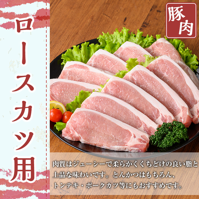 鹿児島県産豚肉セット(合計3.2kg) 鹿児島県産 冷凍 豚肉【TRINITY】A680