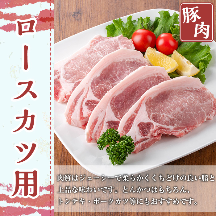 鹿児島県産豚肉セット(合計5kg) 鹿児島県産 冷凍 豚肉【TRINITY】A683