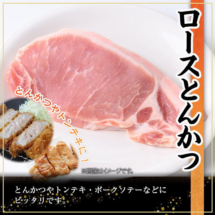 鹿児島県産豚肉ロースとんかつ(計1.6kg・100g×16P) 豚肉 ロース とんかつ【株式会社羽根】A722