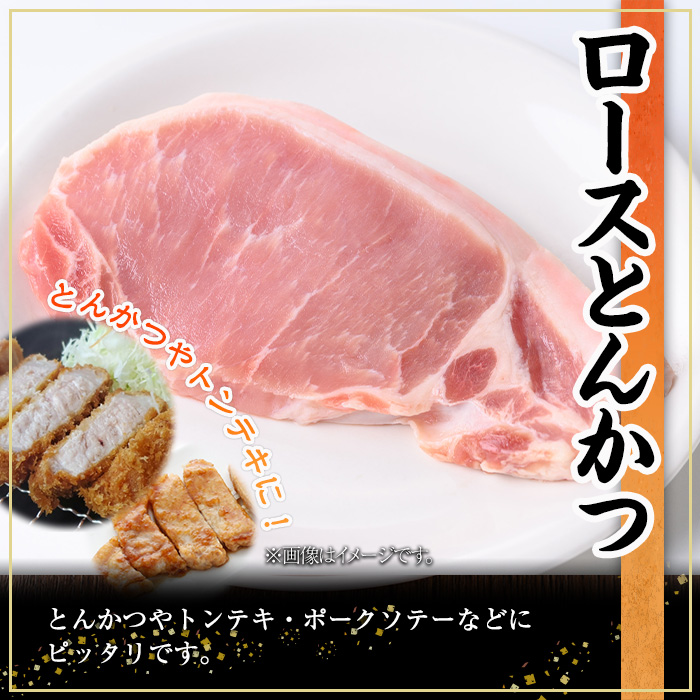 鹿児島県産豚肉バラエティセット(合計3.6kg)  豚肉 ロース スライス【株式会社羽根】A729