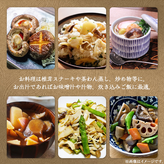 ＜選べる内容量！＞ギフト用 乾しいたけ (80g) シイタケ きのこ 常温【九南サービス(タマチャンショップ)】A739 80g