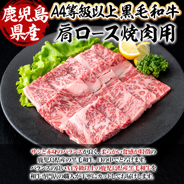 【数量限定】鹿児島県産黒毛和牛A4等級以上肩ロース焼肉用 (計750g＋和牛スジ肉250g×1P) 鹿児島県産 黒毛和牛 肩ロース【ビーフ倉薗】A800-v01 【計750g＋和牛スジ肉250g】
