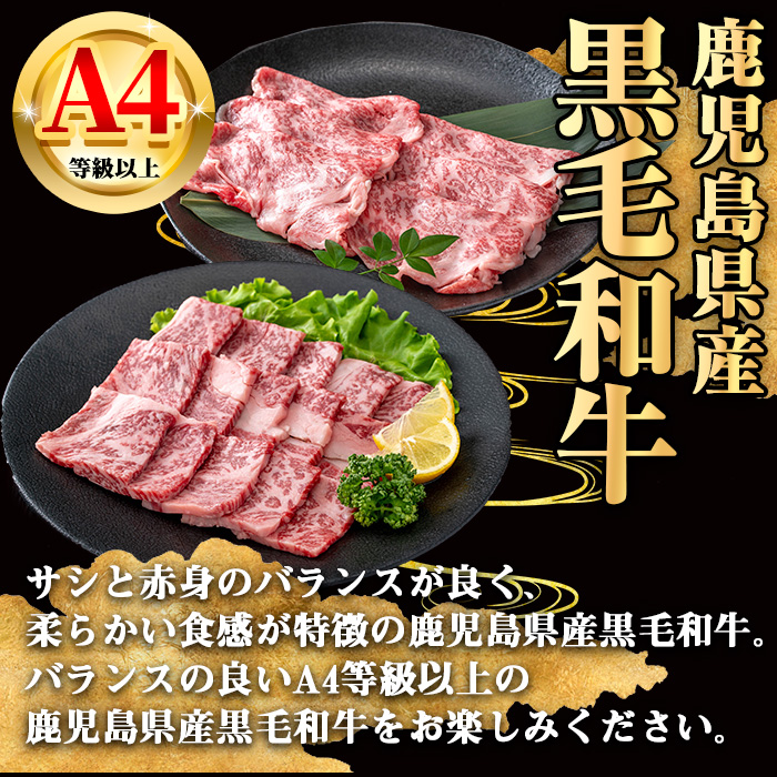 【数量限定】鹿児島県産黒毛和牛A4等級以上肩ロース焼肉用 (計750g＋黒毛和牛こま切れ250g×1P) 鹿児島県産 牛肉 冷凍 【KNOT】 A806-v01 【計750g＋こま切れ250g】
