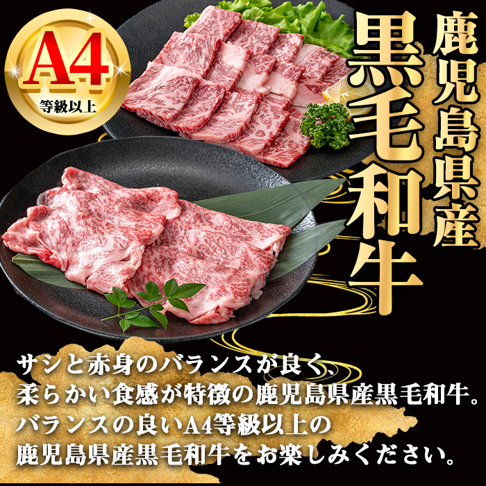 【数量限定】鹿児島県産黒毛和牛A4等級以上肩ロースすき焼き用 (計750g＋黒毛和牛こま切れ250g×1P) 鹿児島県産 牛肉 冷凍 【KNOT】 A809-v01 【計750g＋こま切れ250g】