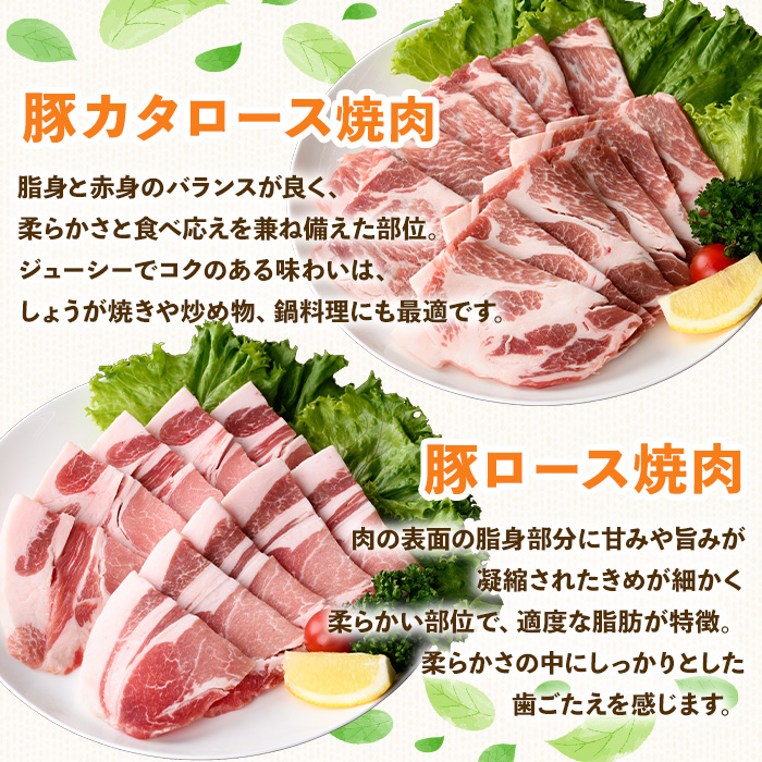 鹿児島県産豚バラエティー焼肉セット(合計2.7kg) 豚肉 焼肉 冷凍【ハピネス】A930