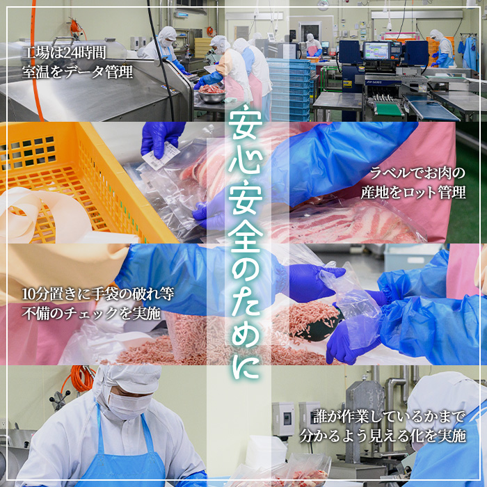 豚ミンチ4袋詰合せ 計800g(200g×4P) 鹿児島県産 豚 ミンチ【株式会社南給】A958 計800g