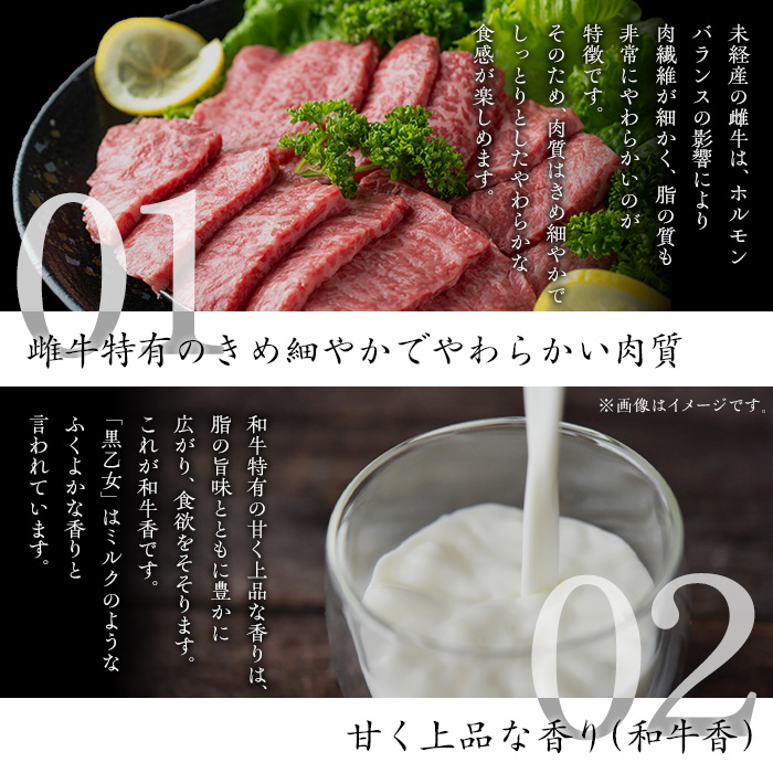 鹿児島黒牛 黒乙女 和牛モモ焼肉(計500g・250g×2P) 黒毛和牛 黒牛 鹿児島県産【ナンチク】A966