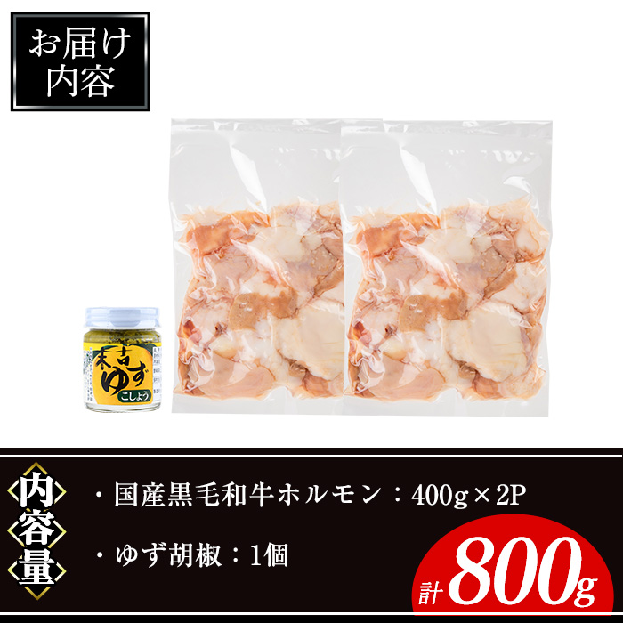 国産黒毛和牛ホルモン計800g(400g×2P)&ゆず胡椒(1個) 牛肉 ホルモン 【ナンチク】A994