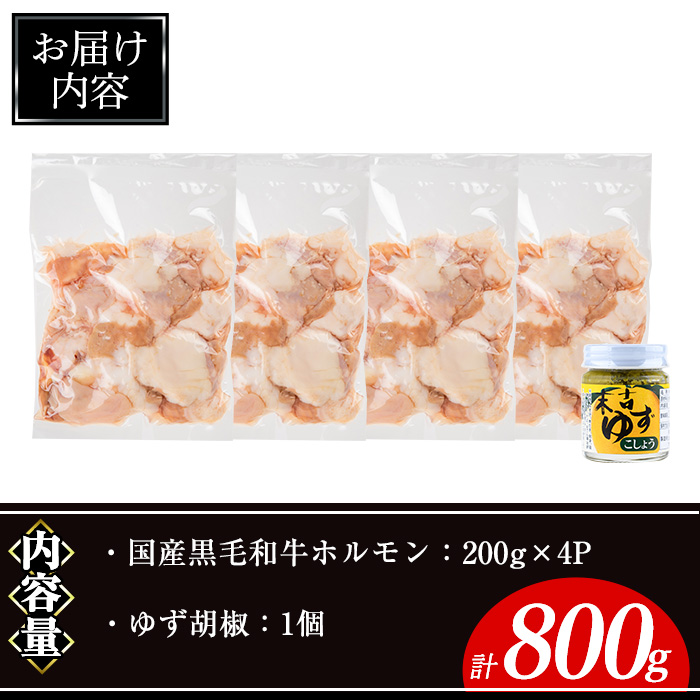 国産黒毛和牛ホルモン計800g(200g×4P)&ゆず胡椒(1個) 牛肉 ホルモン 【ナンチク】A996