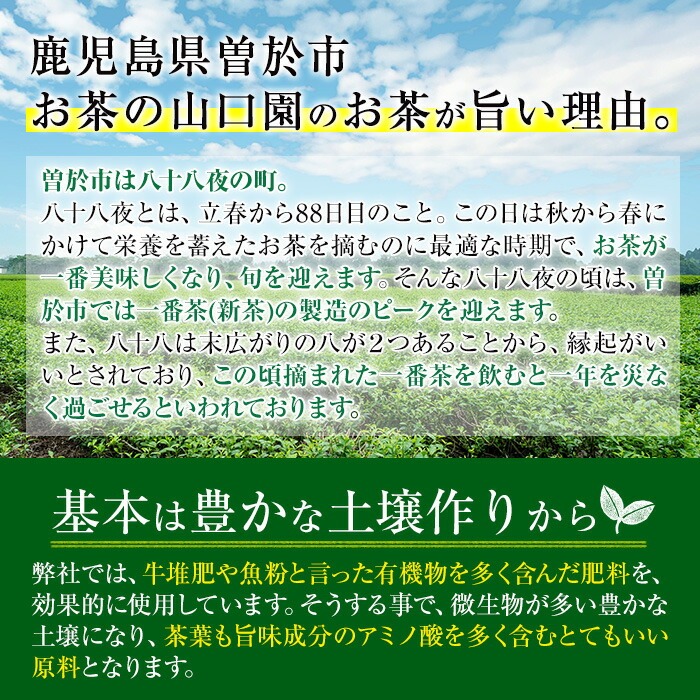 ＜お茶生産量日本一の鹿児島県産！＞鹿児島県産 小さいお茶屋の深蒸し茶セット2 【お茶の山口園】 B46-v01