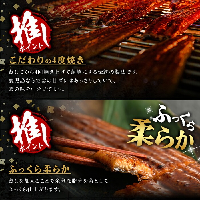 ＜尾数が選べる！＞無投薬！鹿児島県産うなぎ蒲焼セット＜特上＞(計960g以上・ 160g以上×6尾) タレ・山椒付【西日本養鰻】C7-v02 【6尾】計960g以上