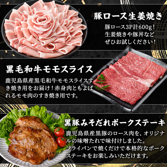 ＜定期便・全5回(連続)＞毎月違うお肉をお届け！お楽しみ定期便 (合計2.66kg以上) 牛肉 豚肉 定期便 【ナンチク】 T47