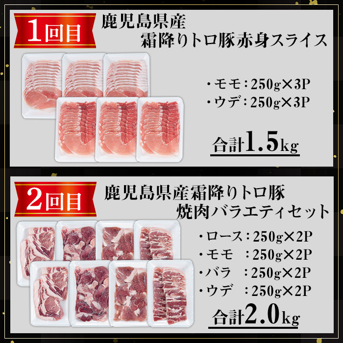 ＜定期便・全3回＞薩摩トロ豚食べ比べ定期便 (合計5.5kg) 豚肉 小分け 冷凍 【KNOT】 T61