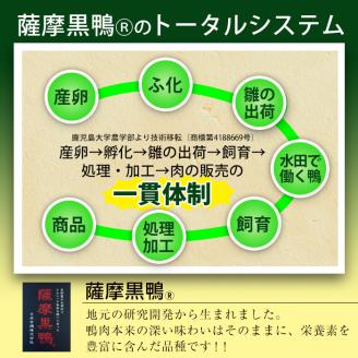 黒鴨肉を定番のお鍋で♪薩摩黒鴨鍋セットA 計300g(150g×2)！【日本有機】A36-v01