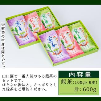 ＜お茶生産量日本一の鹿児島県産！＞小さいお茶屋の煎茶セット(煎茶100g×6本・合計600g) 【お茶の山口園】A185-v01