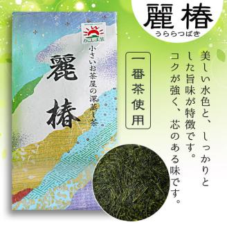 ＜お茶生産量日本一の鹿児島県産！＞小さいお茶屋の深蒸し茶～麗椿～700g! 【お茶の山口園】 B109-v01