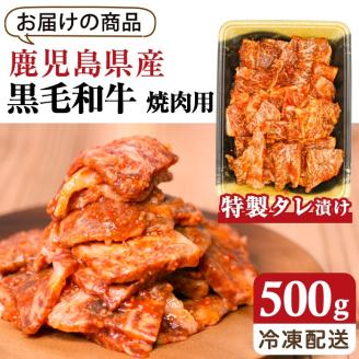 鹿児島県産黒毛和牛500g(特製タレ漬け)【アグリおおすみ】A287-v01