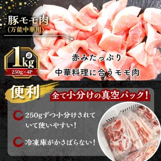 鹿児島県産「天恵美豚」豚バラ・ロース・肩ロース・モモ・ウデ(250g×12P・計3kg)【アグリおおすみ】B142-v01
