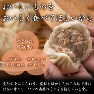 鹿児島県産 プレミアム手包み黒豚まん(計10個) 【アグリおおすみ】A78-v01