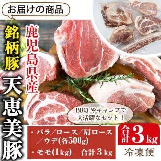 鹿児島県産「天恵美豚」！BBQ ブロック セット 豚バラ・ロース・肩ロース・モモ・ウデ(計3kg) 国産 豚肉 食べ比べ【アグリおおすみ】B154-v01