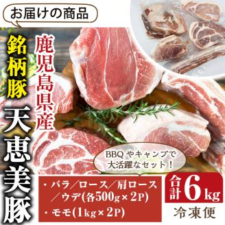 鹿児島県産「天恵美豚」！BBQ ブロック セット 豚バラ・ロース・肩ロース・モモ・ウデ(計6kg) 国産 豚肉 食べ比べ【アグリおおすみ】 D28-v01