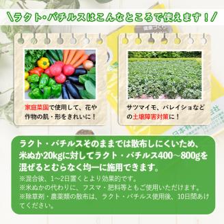 乳酸菌土壌改良剤「ラクト・バチルス」(400g×2袋)【日本有機】A382-v01