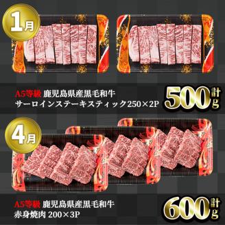 ＜定期便・全4回＞カミチク お試し黒毛和牛定期便 【カミチク】T9-v01