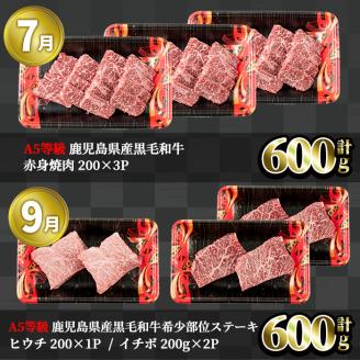 ＜定期便・全5回＞カミチク 特選黒毛和牛定期便 【カミチク】T10-v01