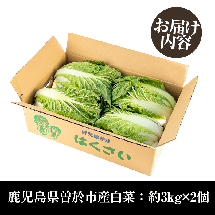 ≪期間限定≫村下さんちの白菜(約3kg×2個) 白菜 はくさい 野菜【曽於市観光協会】A1019 計2個