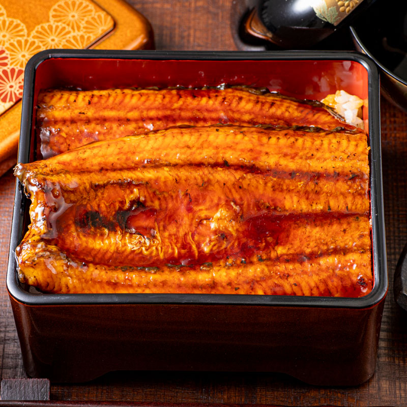 鹿児島産超特大うなぎ蒲焼(無頭) (計240g以上・240g以上×1尾) 鰻 蒲焼き 真空パック【株式会社財宝】A1041