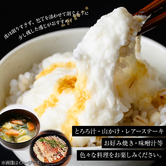 ≪期間限定≫鹿児島県産自然薯1.8kg以上(１本掘り2本入り)【曽於市観光協会】A133-v01