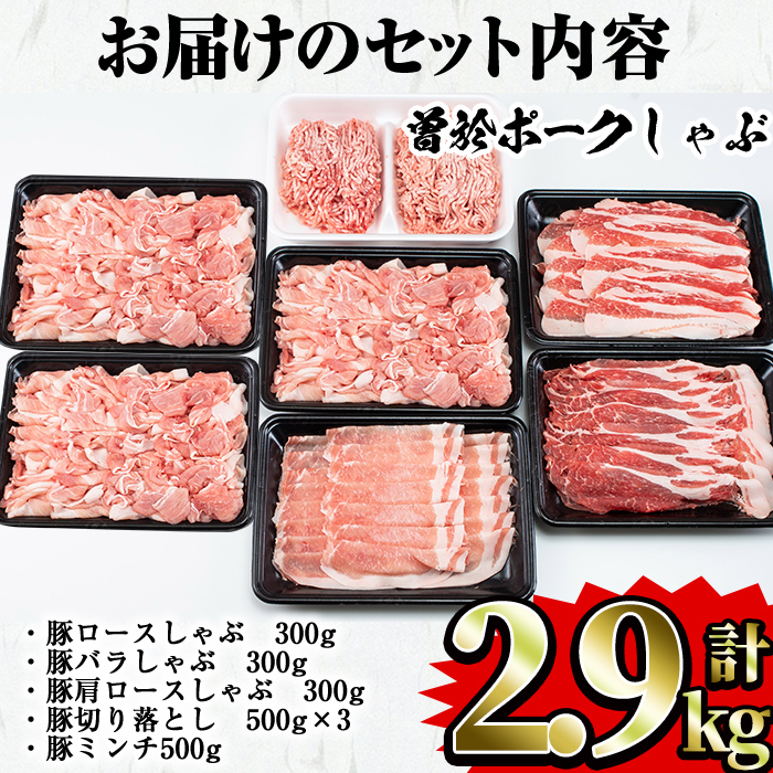 鹿児島県曽於市産 曽於ポークしゃぶセット2.9kg 【Rana】A171-v02