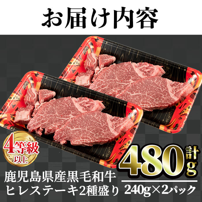 鹿児島県産黒毛和牛(4～5等級)ヒレステーキ2種盛り(合計480g・240g×2パック) 【カミチク】A231-v01
