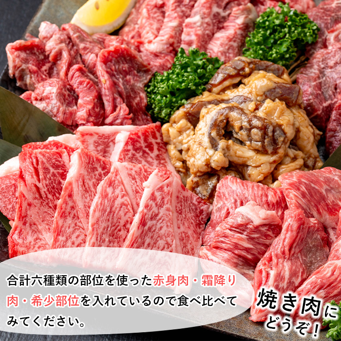 鹿児島県産黒毛和牛 焼肉食べ比べセット(600g)【1129】A359-v01
