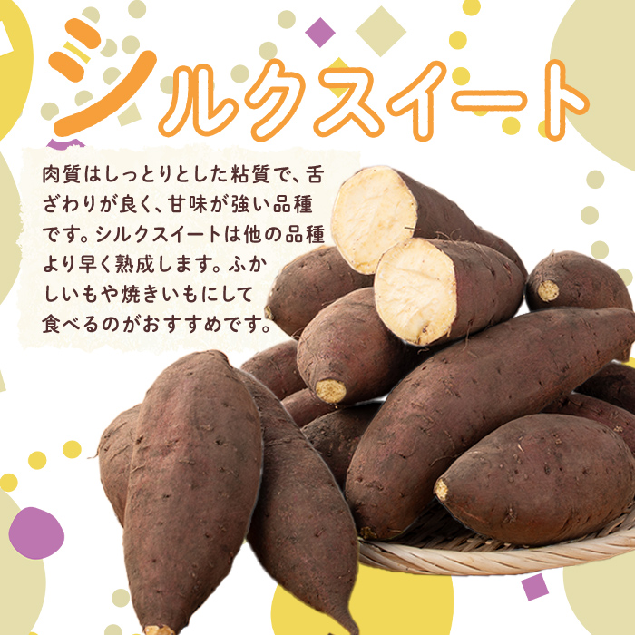 【数量限定企画実施中！】＜2025年11月上旬より順次発送予定！＞【訳あり】鹿児島県産サツマイモ「シルクスイート」(計5.5kg) 鹿児島県産 さつまいも さつま芋 【みやびファーム】 A460-v01