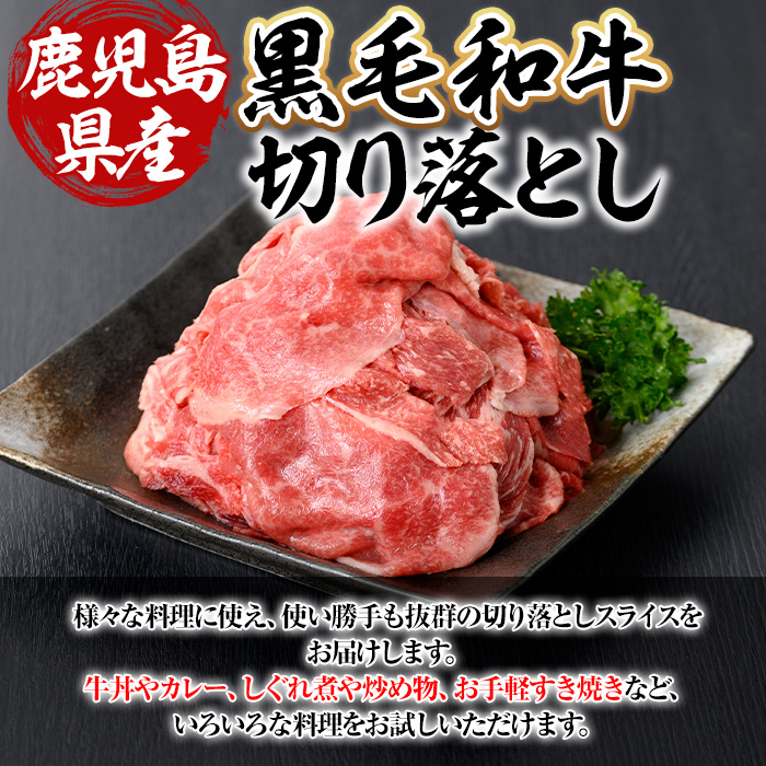 鹿児島県産黒毛和牛(経産牛) おためし切り落とし 計500g(500g×1パック)【ビーフ倉薗】A523