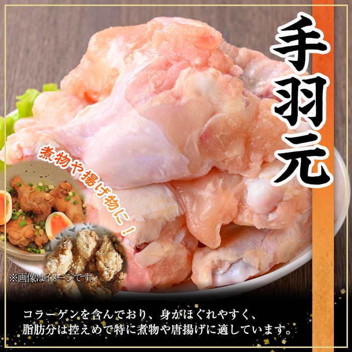 鹿児島県産若鶏3種セット(合計6.5kg)【株式会社羽根】 A573-v01