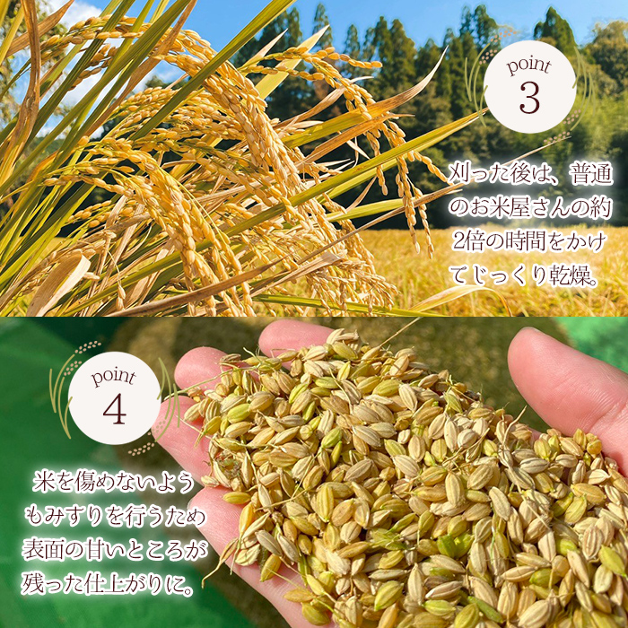 ＜先行予約受付中！＞柏木さんこだわりのうまSoo米(5kg) お米 精米済み 常温【曽於市観光協会】A587