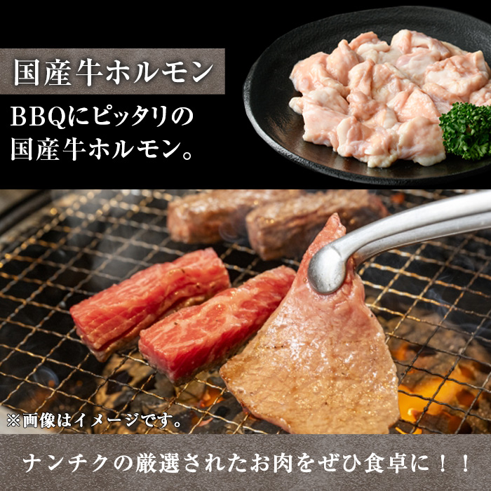 鹿児島県産黒毛和牛の焼き肉セット(和牛ロース肉、モモ肉、国産牛ホルモン 各200g 計600g)【ナンチク】A6-v01