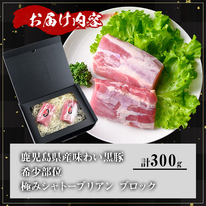 ＜内容量が選べる！＞かごしま味わい黒豚希少部位 極みシャトーブリアン (300g)【KNOT】 A619 300g