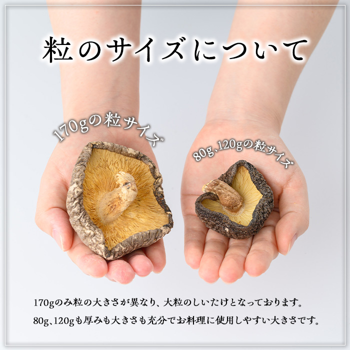 ＜選べる内容量！＞ギフト用 乾しいたけ (80g) シイタケ きのこ 常温【九南サービス(タマチャンショップ)】A739 80g